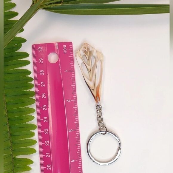 Seashell Keyring Slice Conch Seashell Clearwater Beach, Florida - Picture 12 of 15